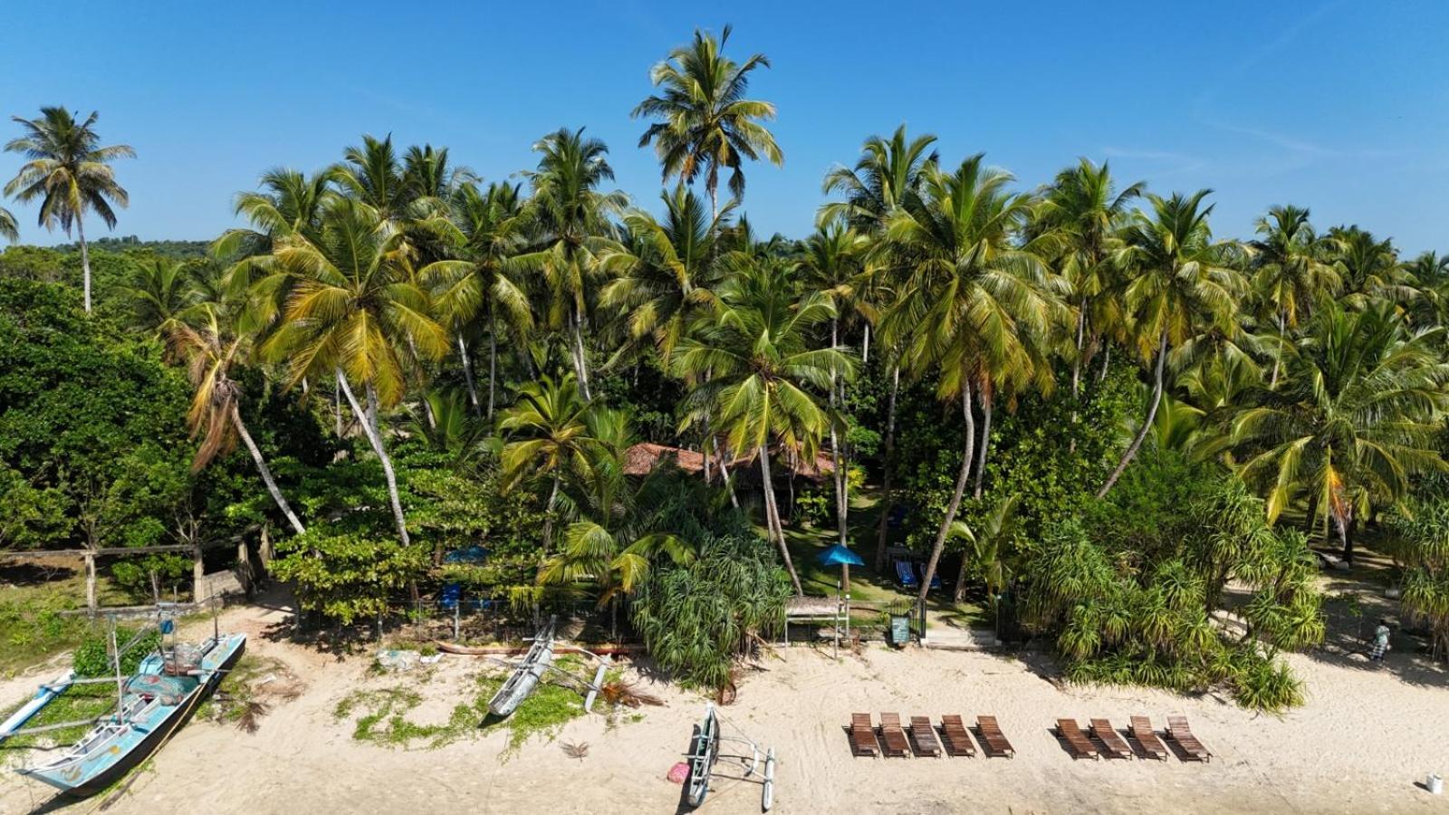 Esperanza Beach Mawella 坦加拉 外观 照片